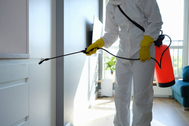 Home Mold Removal in Gas City, IN